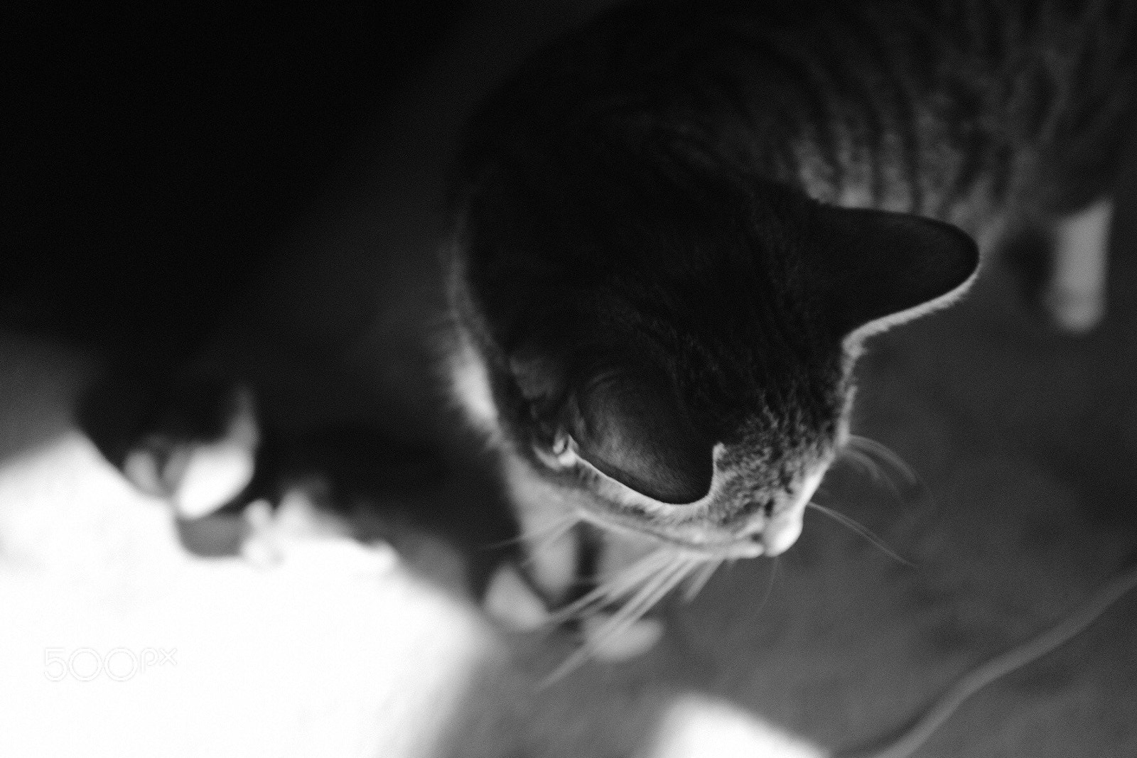 Fujifilm X100F sample photo. Ab febd ad photography