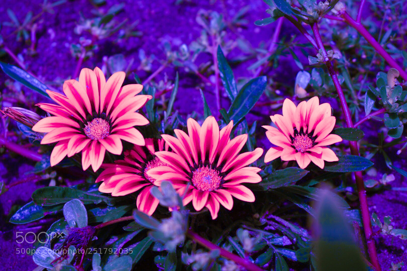 Nikon D5300 sample photo. Untitled photography