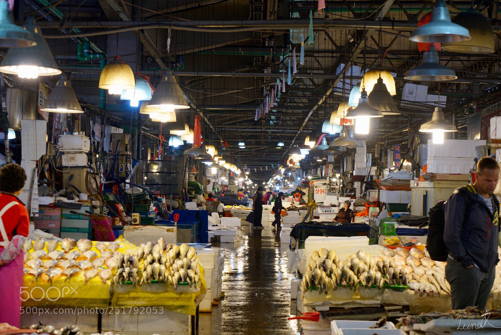 Sony a7R II sample photo. Fish market photography