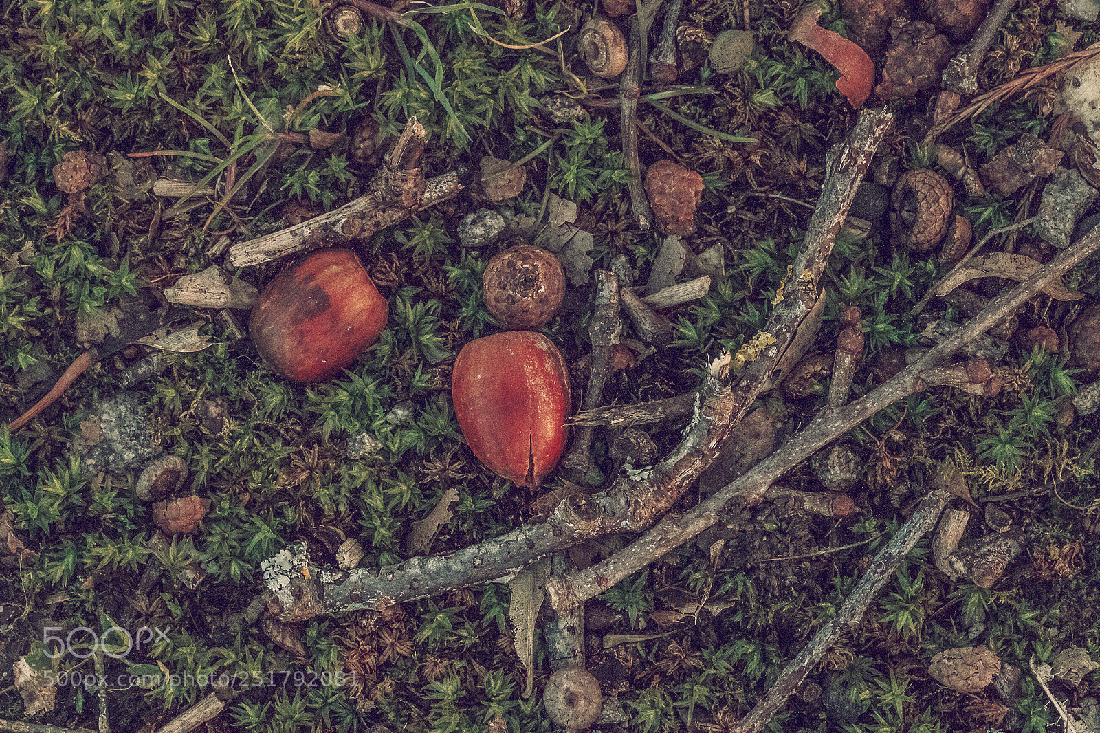 Canon EOS 7D sample photo. Vue de la terre photography
