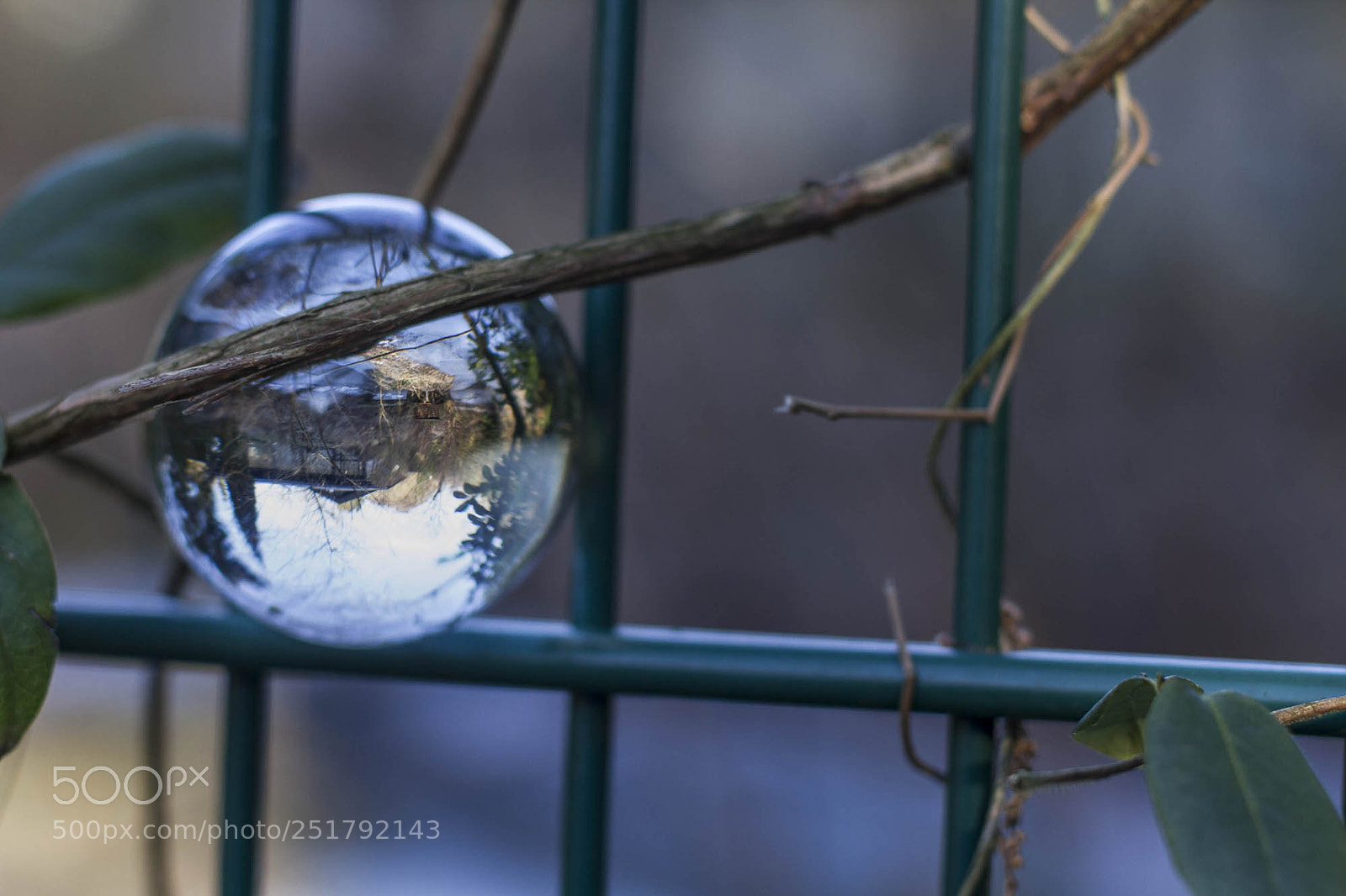Canon EOS 7D sample photo. Rg - sinneswald 3 photography