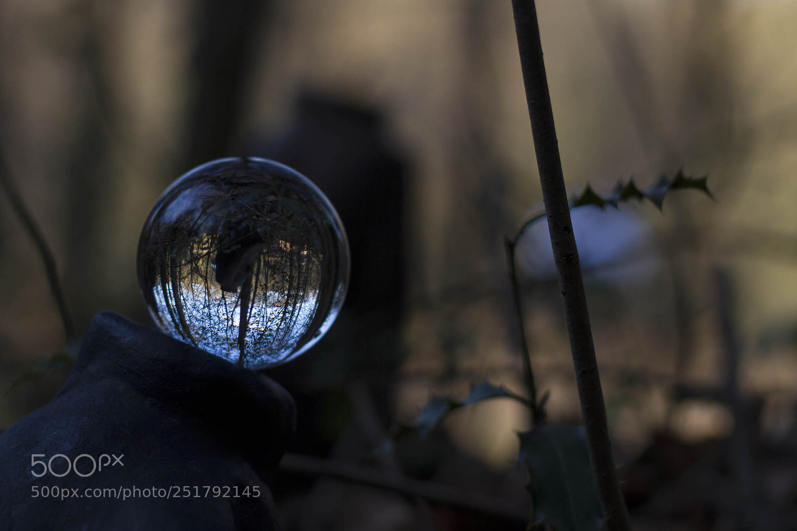 Canon EOS 7D sample photo. Rg - sinneswald 4 photography