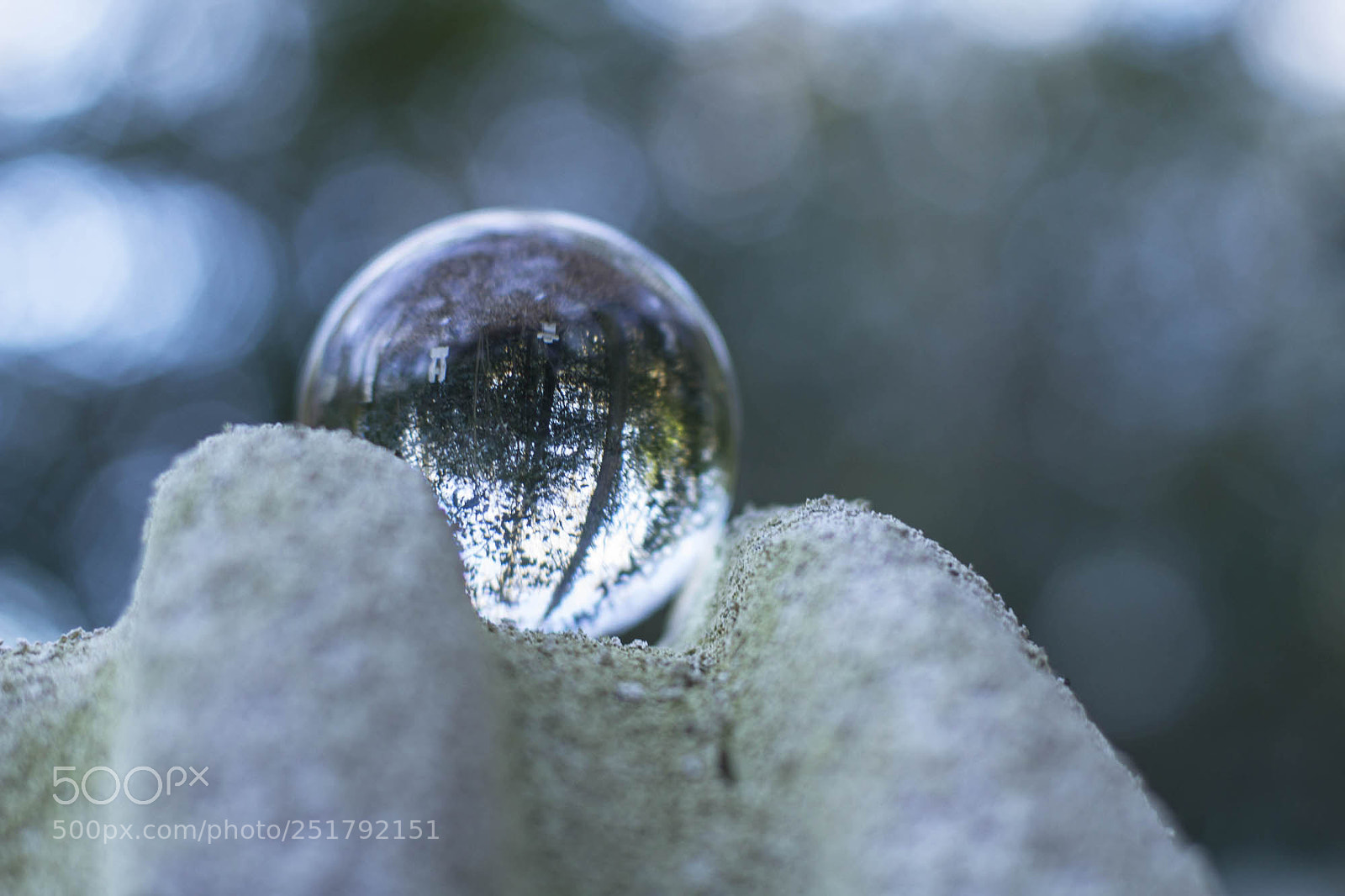 Canon EOS 7D sample photo. Rg - sinneswald 5 photography