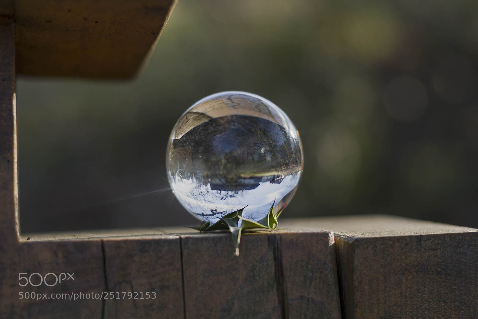 Canon EOS 7D sample photo. Rg - sinneswald 6 photography