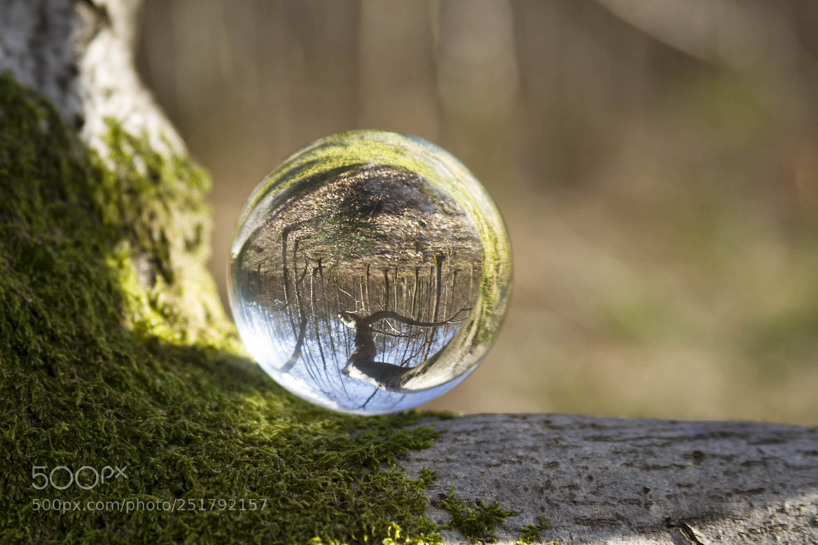 Canon EOS 7D sample photo. Rg - bürgerbusch 1 photography