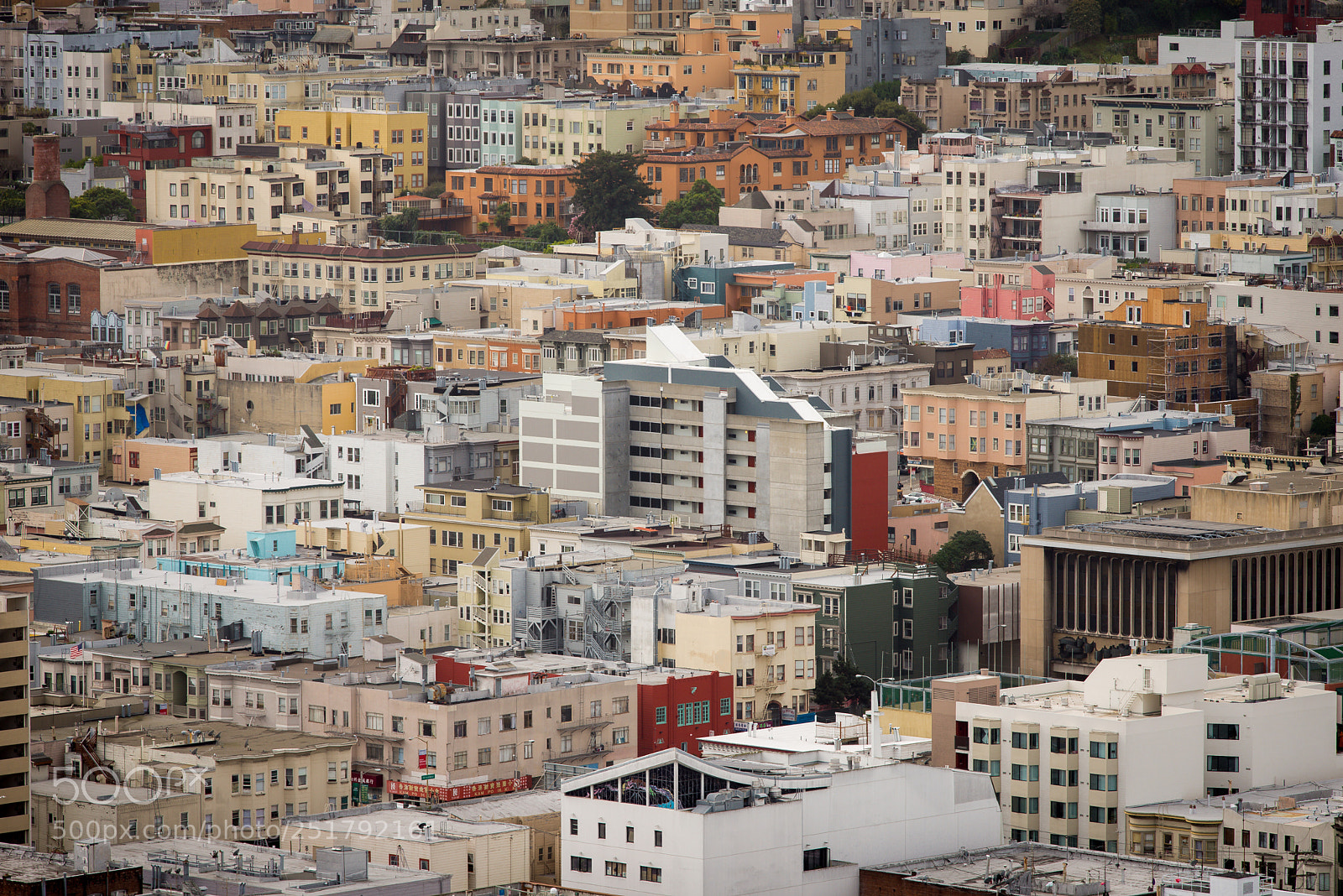 Nikon D610 sample photo. San francisco photography