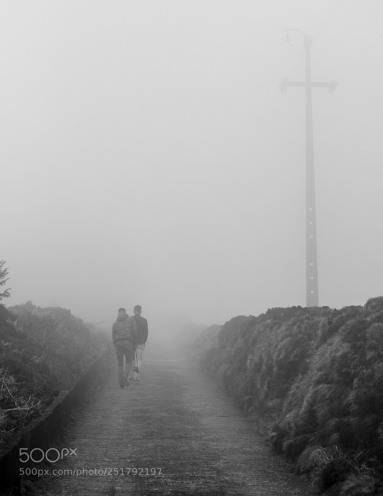 Canon EOS 70D sample photo. Fog photography