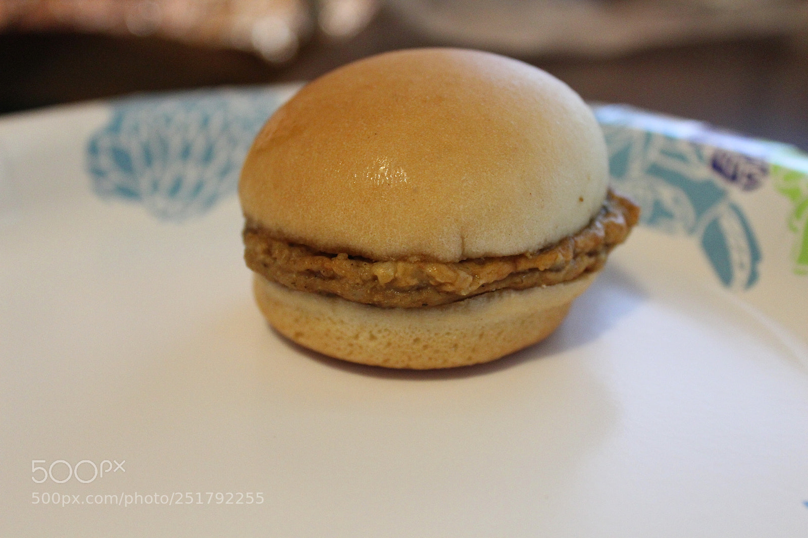 Canon EOS 1300D (EOS Rebel T6 / EOS Kiss X80) sample photo. Tennessee pride sausage biscuit photography
