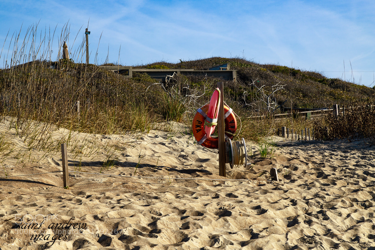 Canon EOS 6D Mark II sample photo. Rescue photography