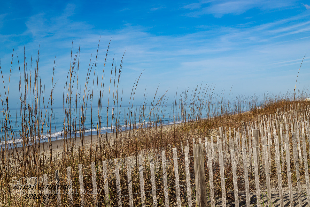 Canon EOS 6D Mark II sample photo. Fence photography