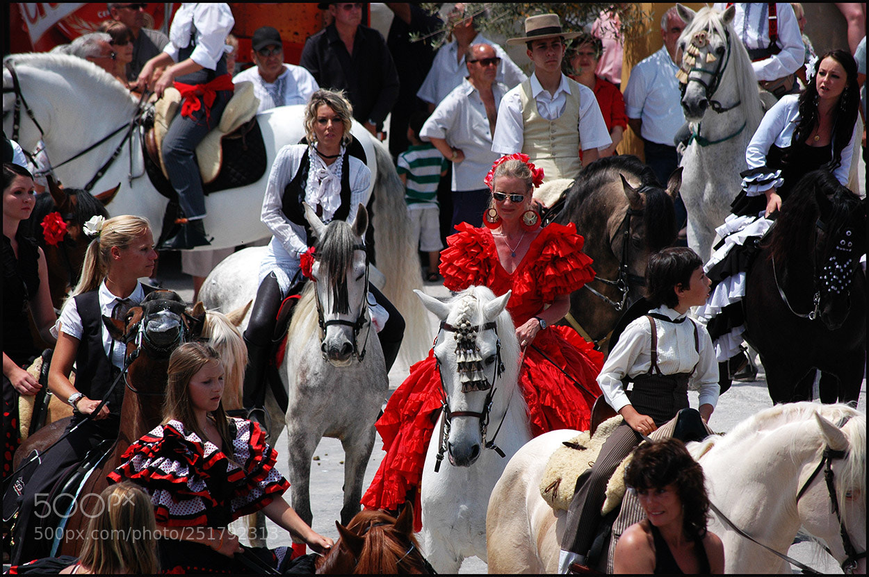 Nikon D70s sample photo. Horses and riding photography