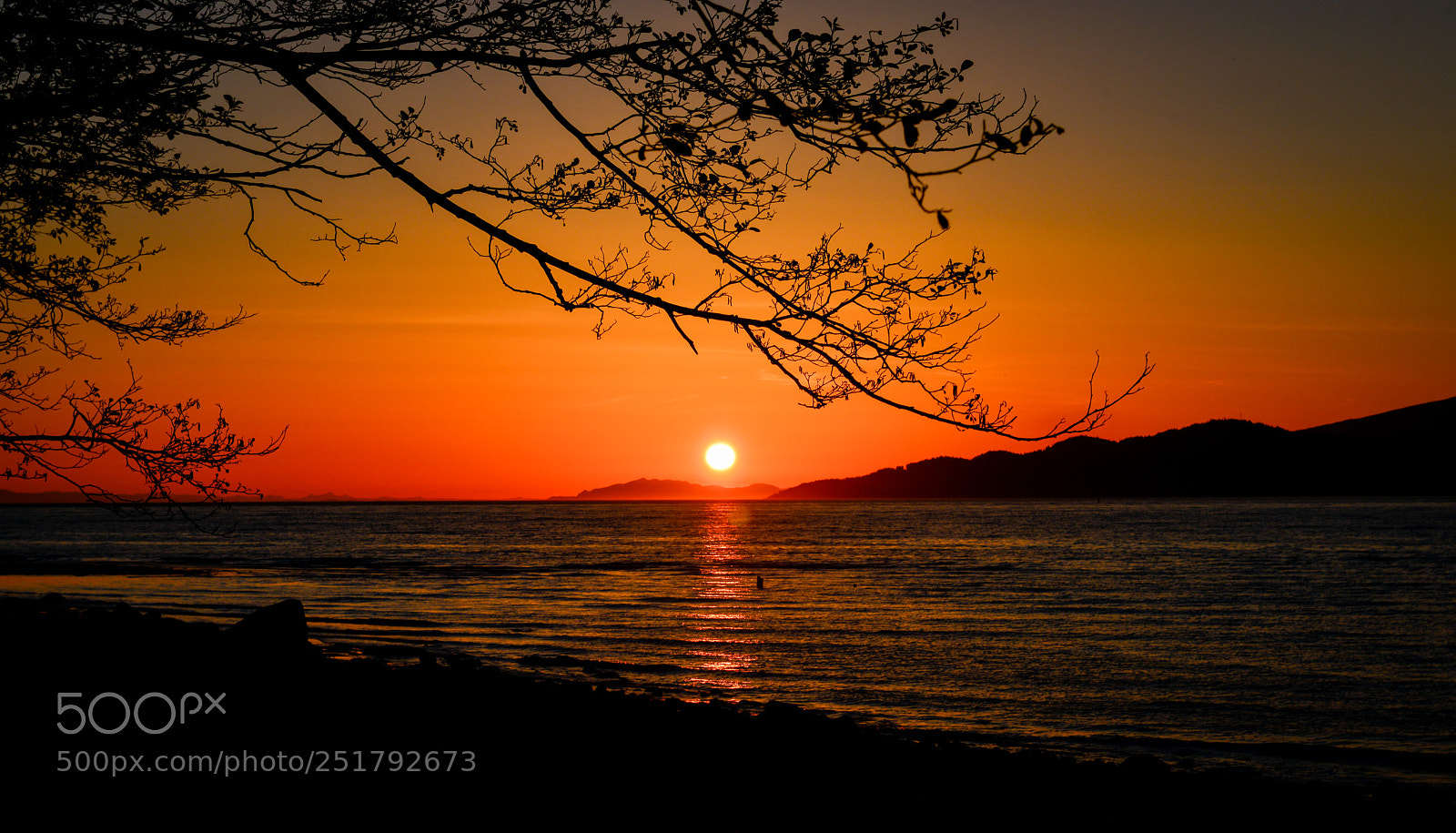 Nikon D800 sample photo. Days end photography