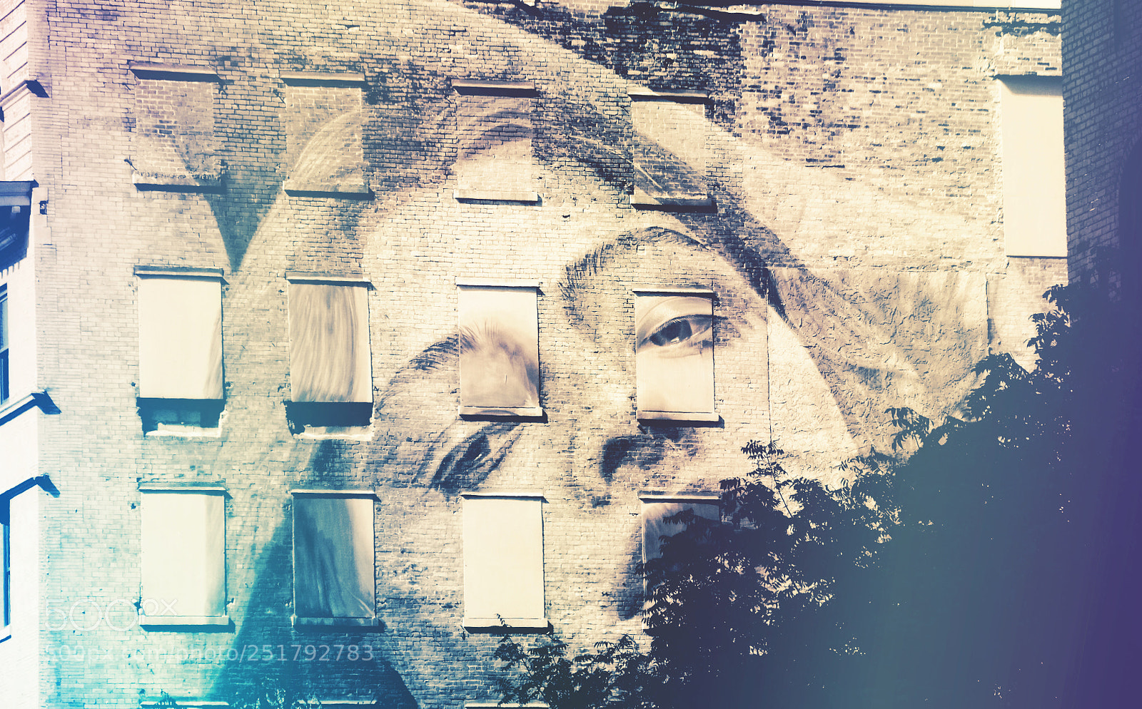 Nikon D7100 sample photo. Face in the wall photography