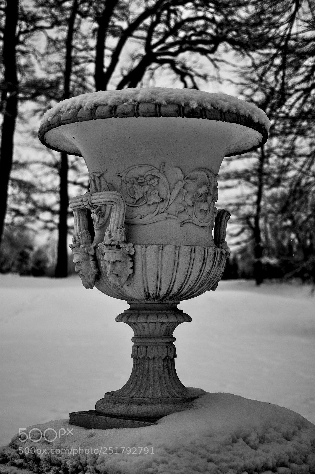 Nikon D500 sample photo. Am park vum schwedenschlass photography