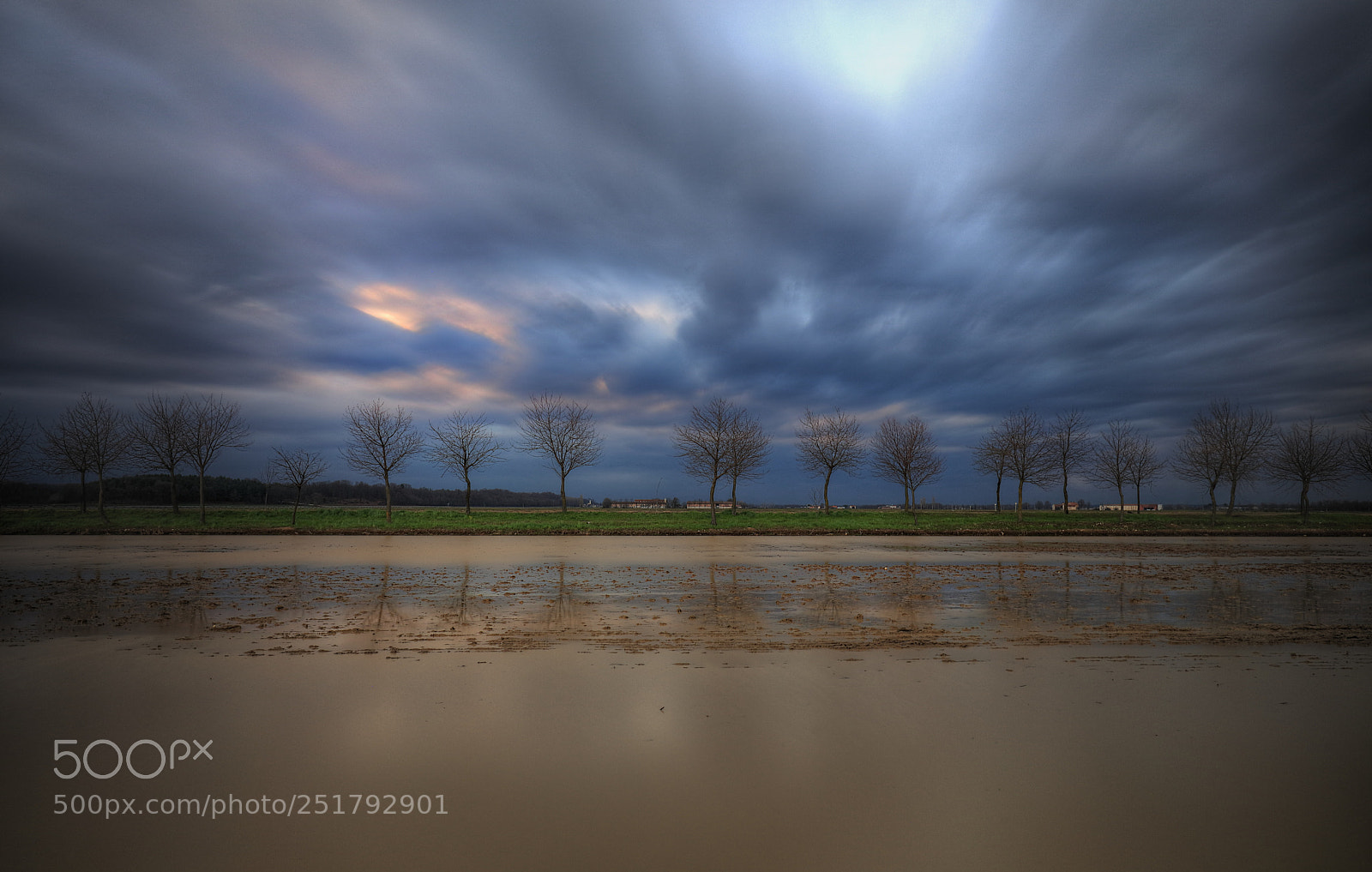 Canon EOS 5DS R sample photo. Trees, and clouds photography