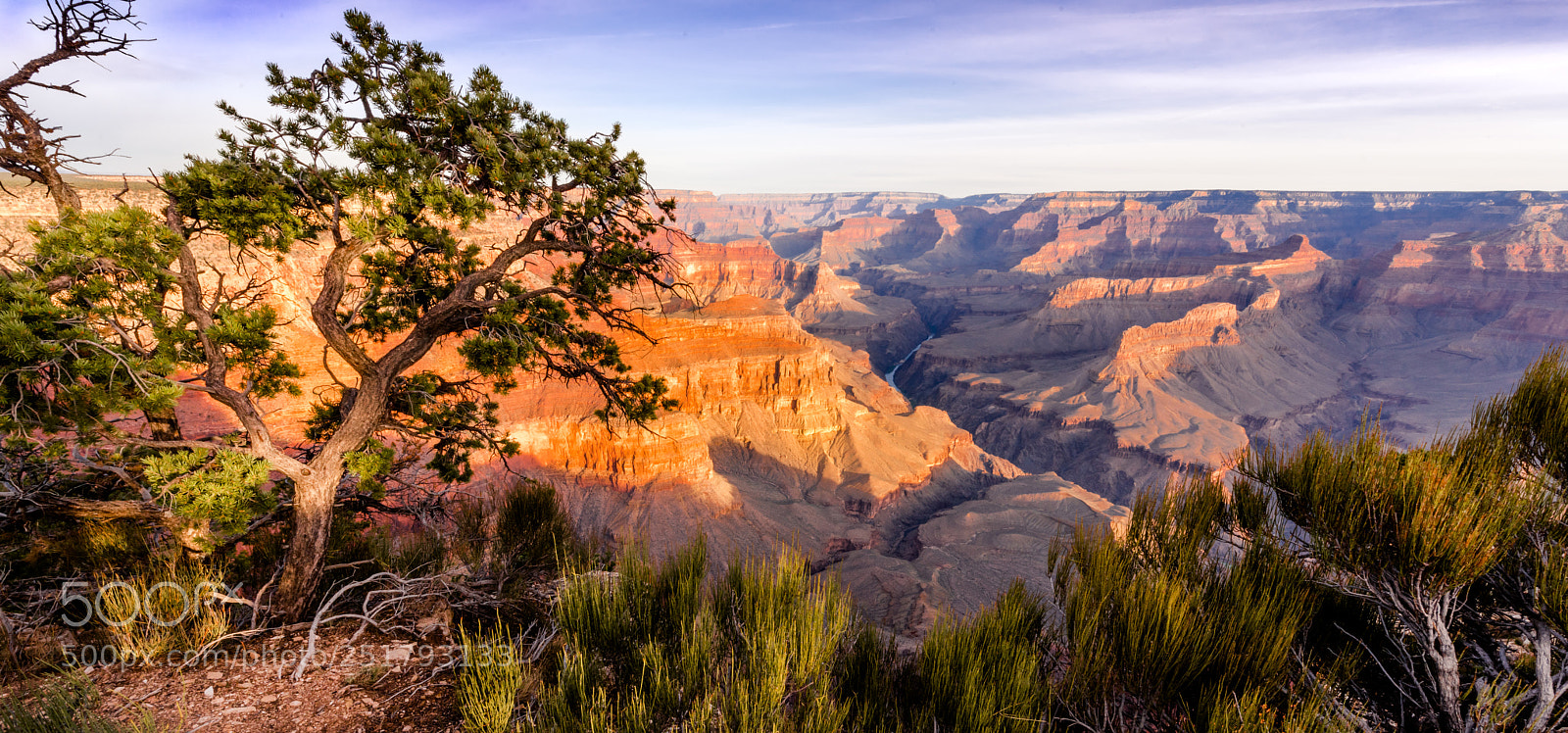 Nikon D810 sample photo. Pima point photography