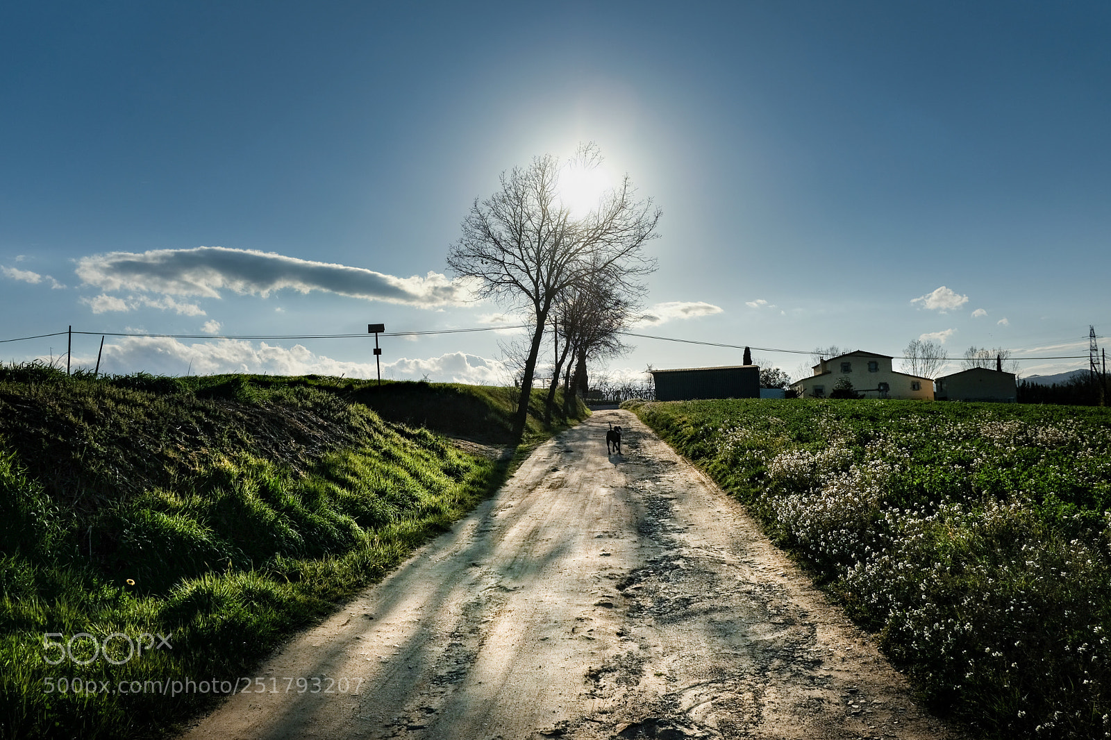 Fujifilm X-T2 sample photo. Untitled photography