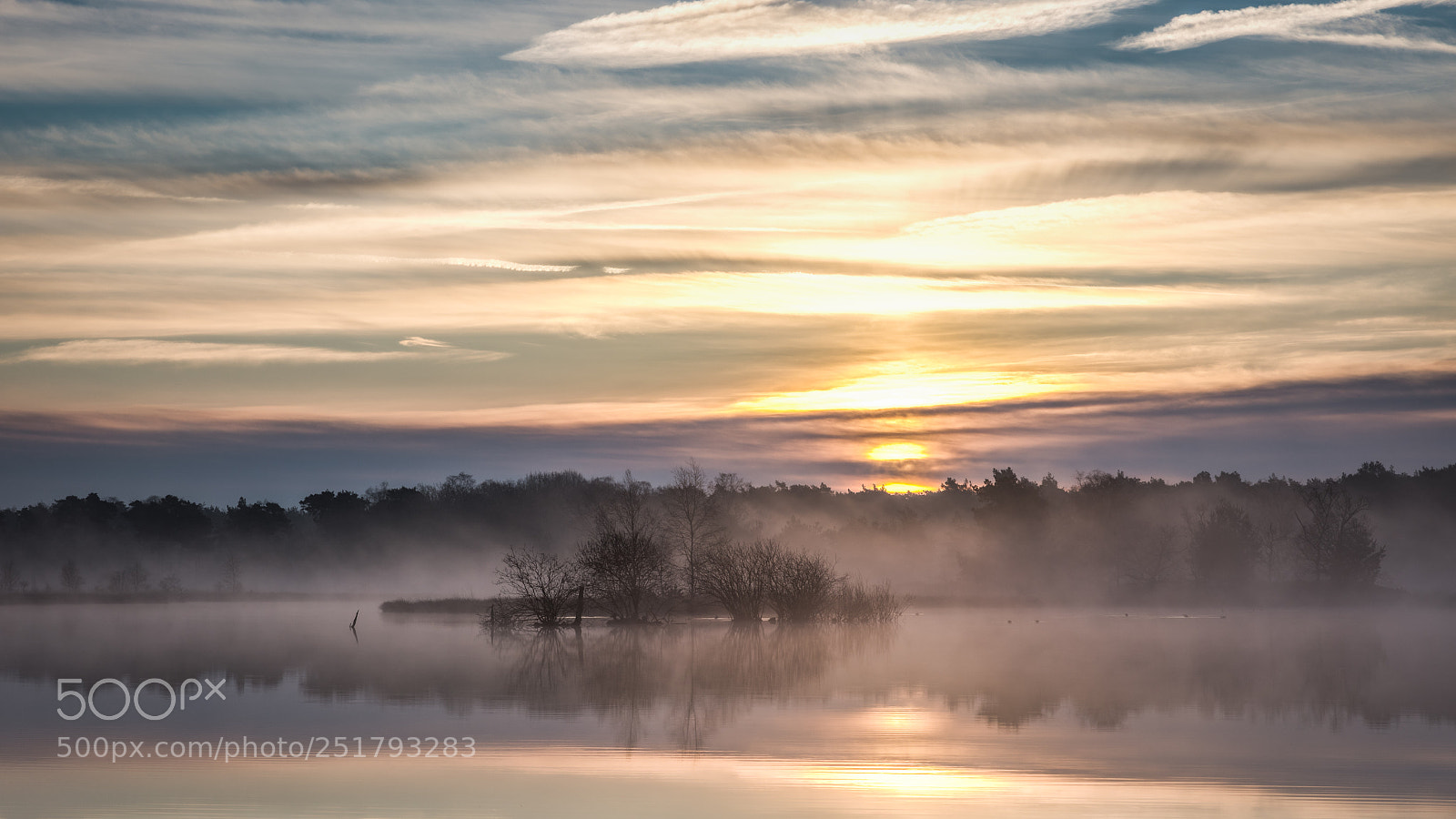 Canon EOS 5DS R sample photo. Misty morning photography