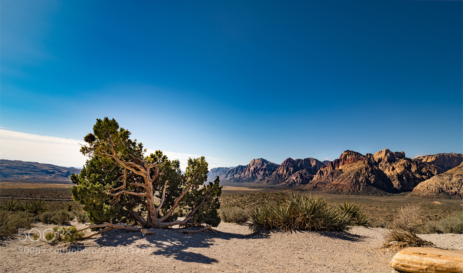 Olympus PEN-F sample photo. Red rocks iii photography