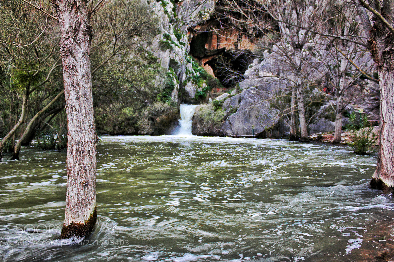 Canon EOS 550D (EOS Rebel T2i / EOS Kiss X4) sample photo. La cueva del gato photography