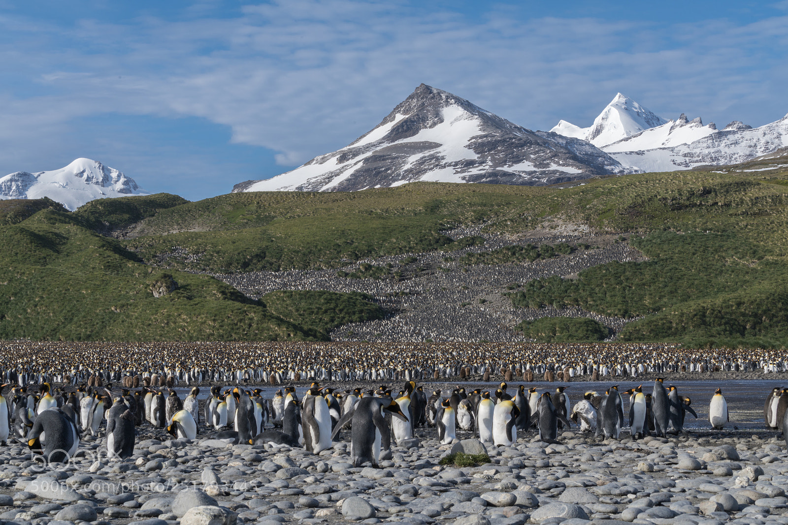 Sony a7R II sample photo. Salisbury plains, south georgia photography