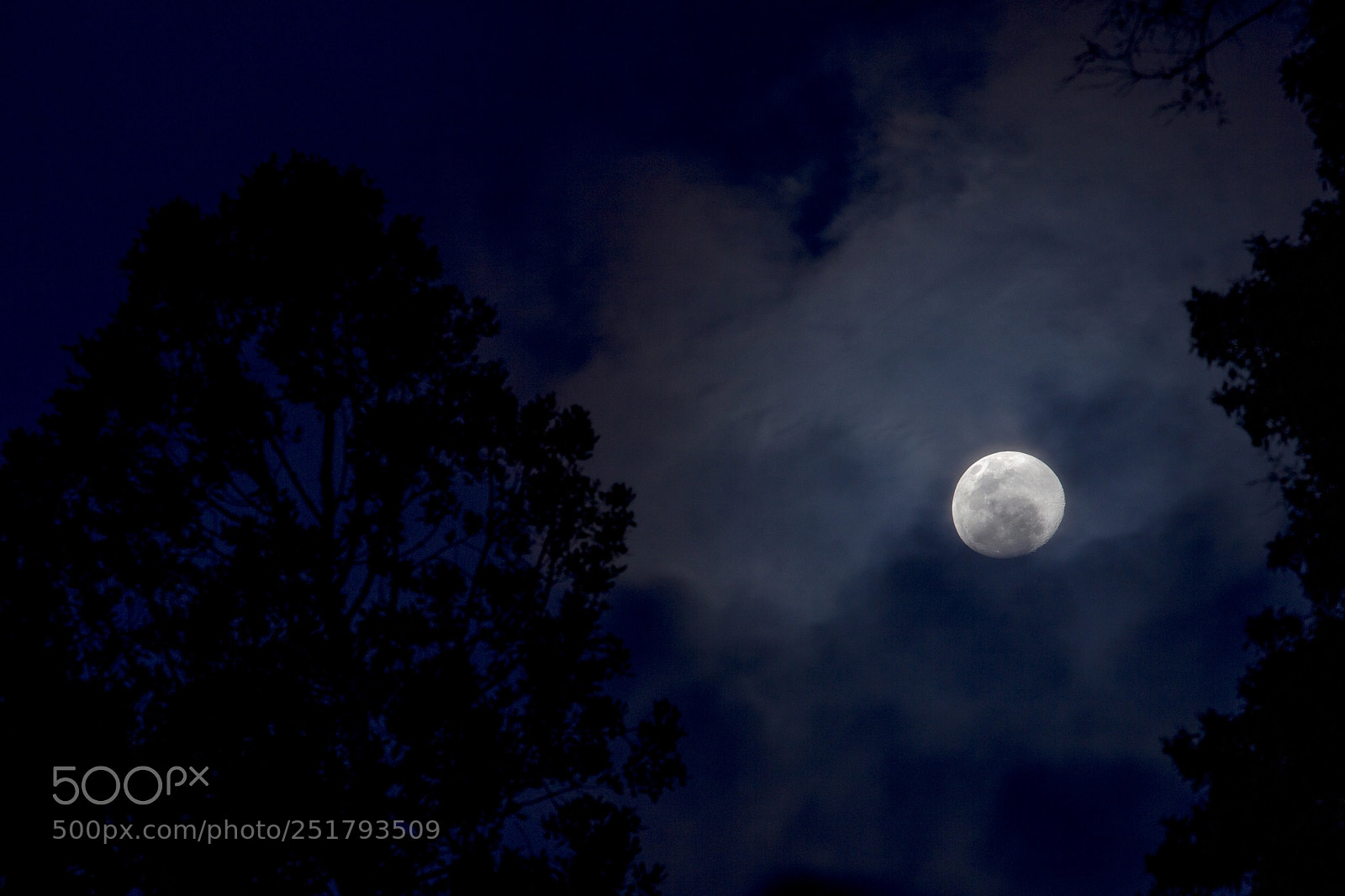 Canon EOS 60D sample photo. Moonlight photography