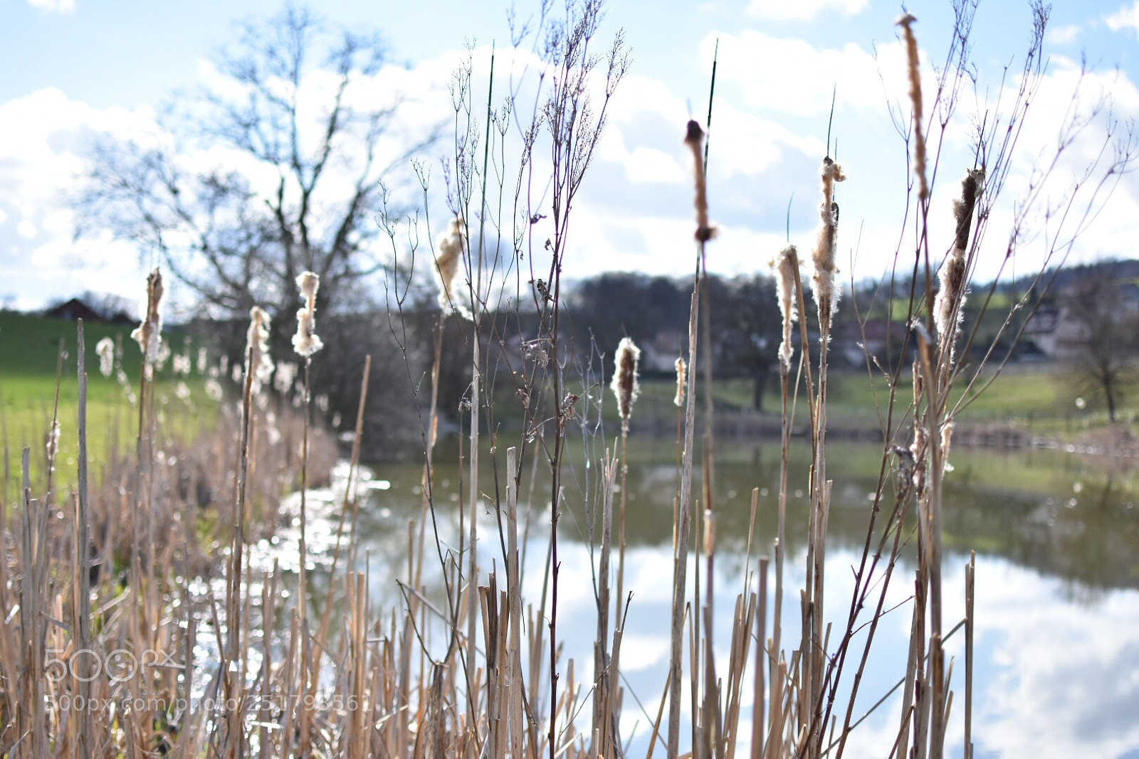 Nikon D7200 sample photo. Bord de lac photography