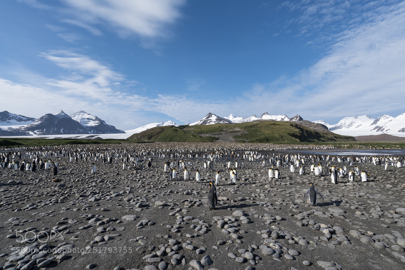 Sony a7R II sample photo. Salisbury plains, south georgia photography