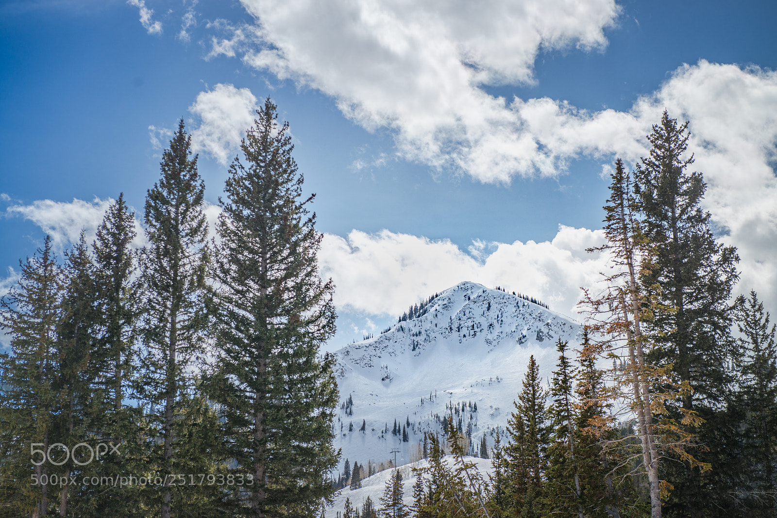 Nikon D800 sample photo. Silver lake vantage photography