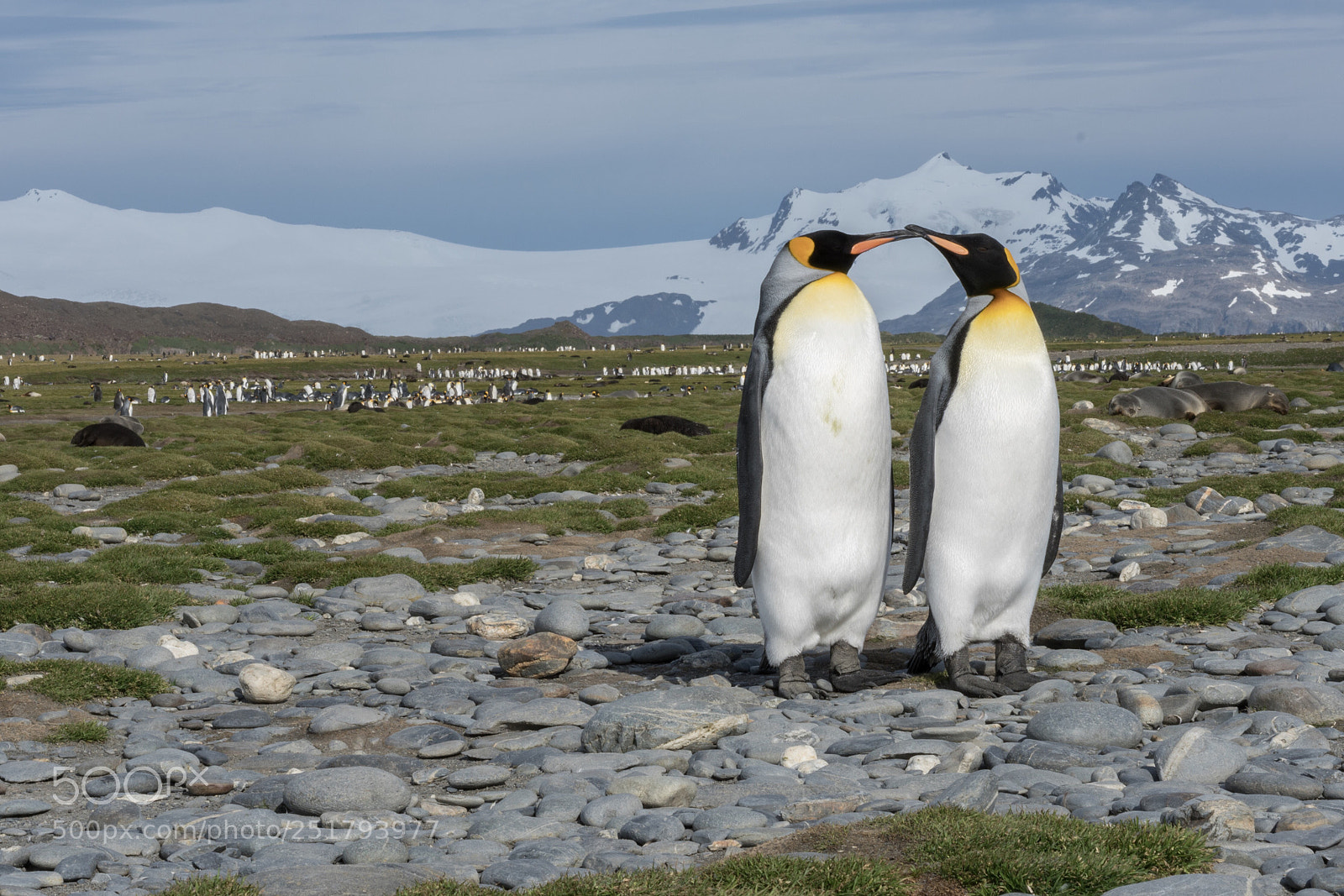 Sony a7R II sample photo. Salisbury plains, south georgia photography