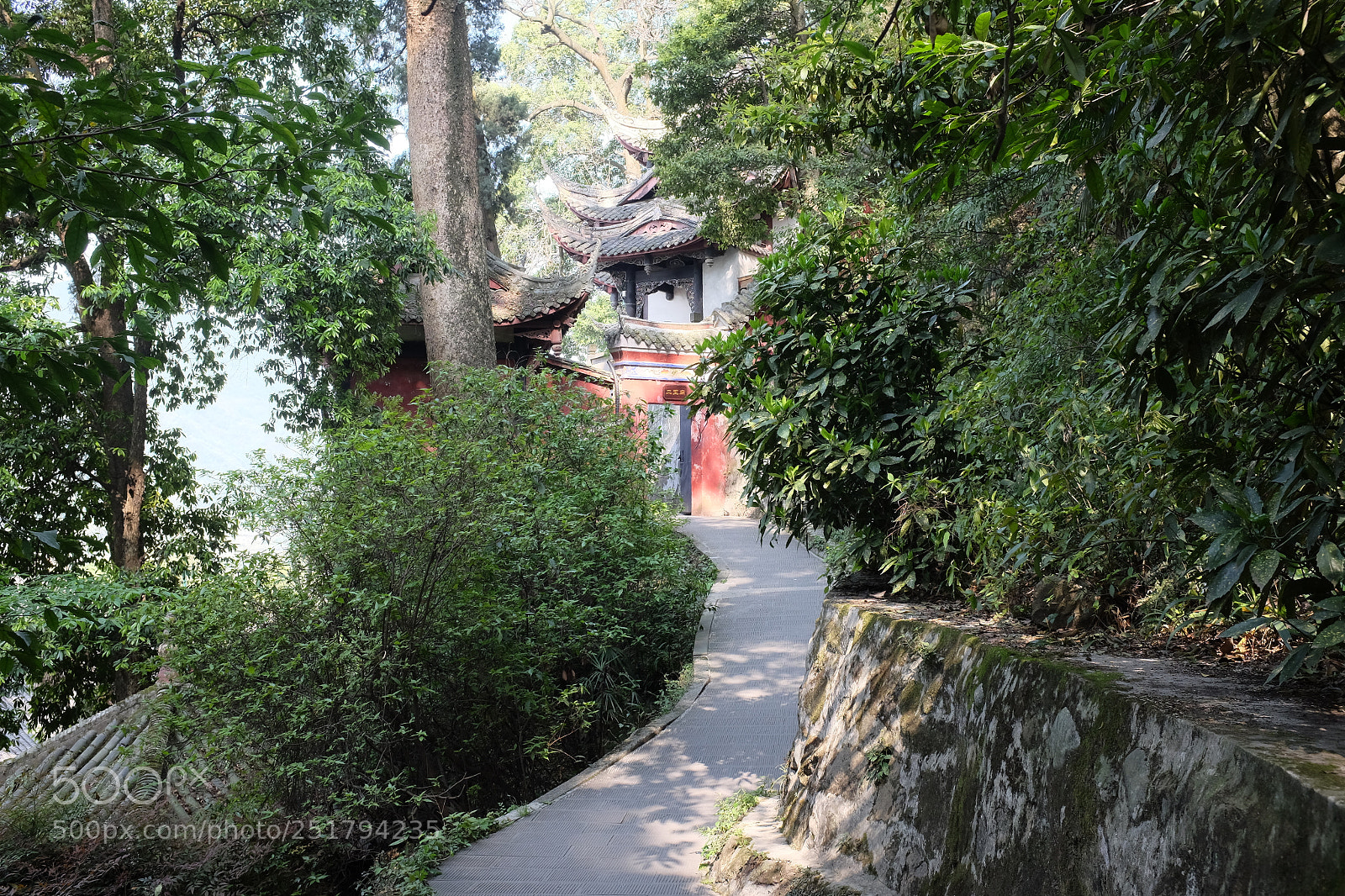Fujifilm X100T sample photo. Dscf photography