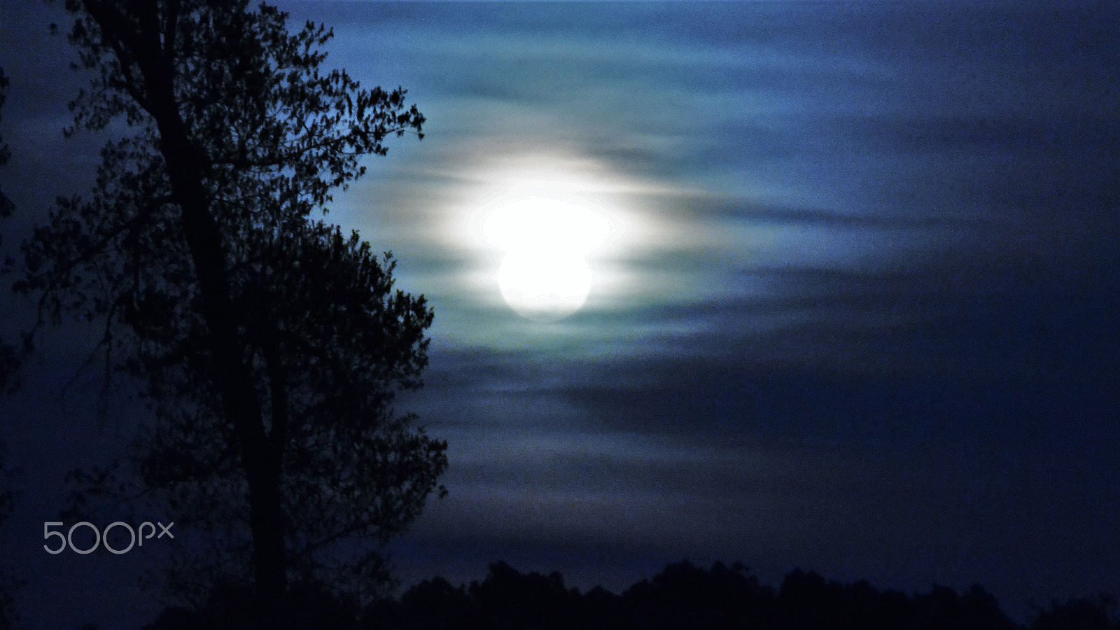 Nikon D3100 sample photo. Bad moon rising photography