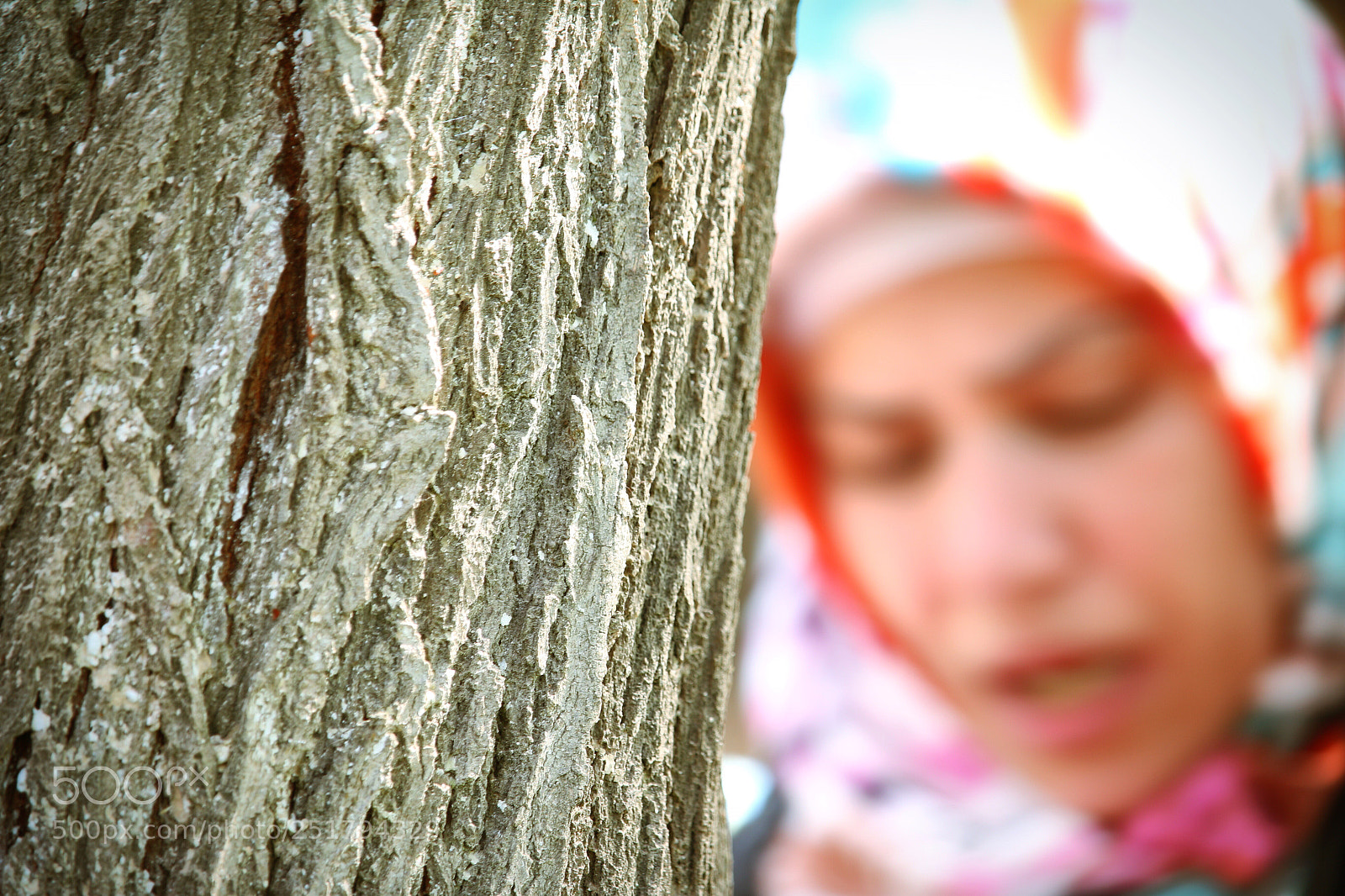 Canon EOS 70D sample photo. Untitled photography