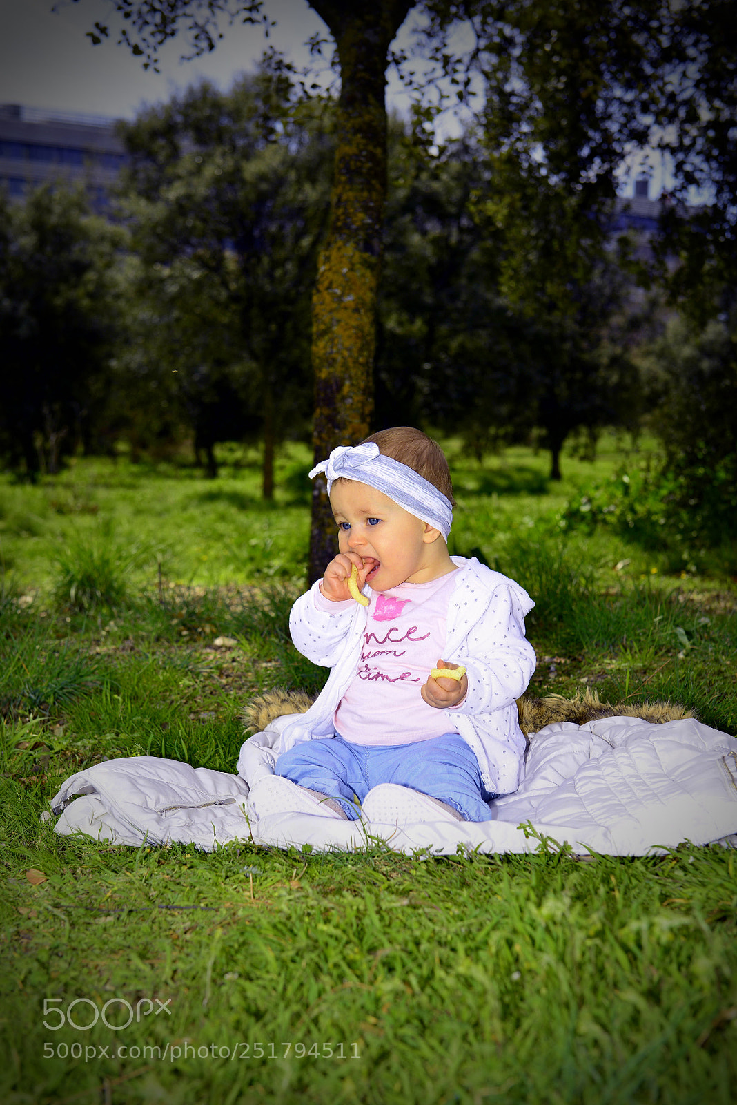 Nikon D800E sample photo. Untitled photography