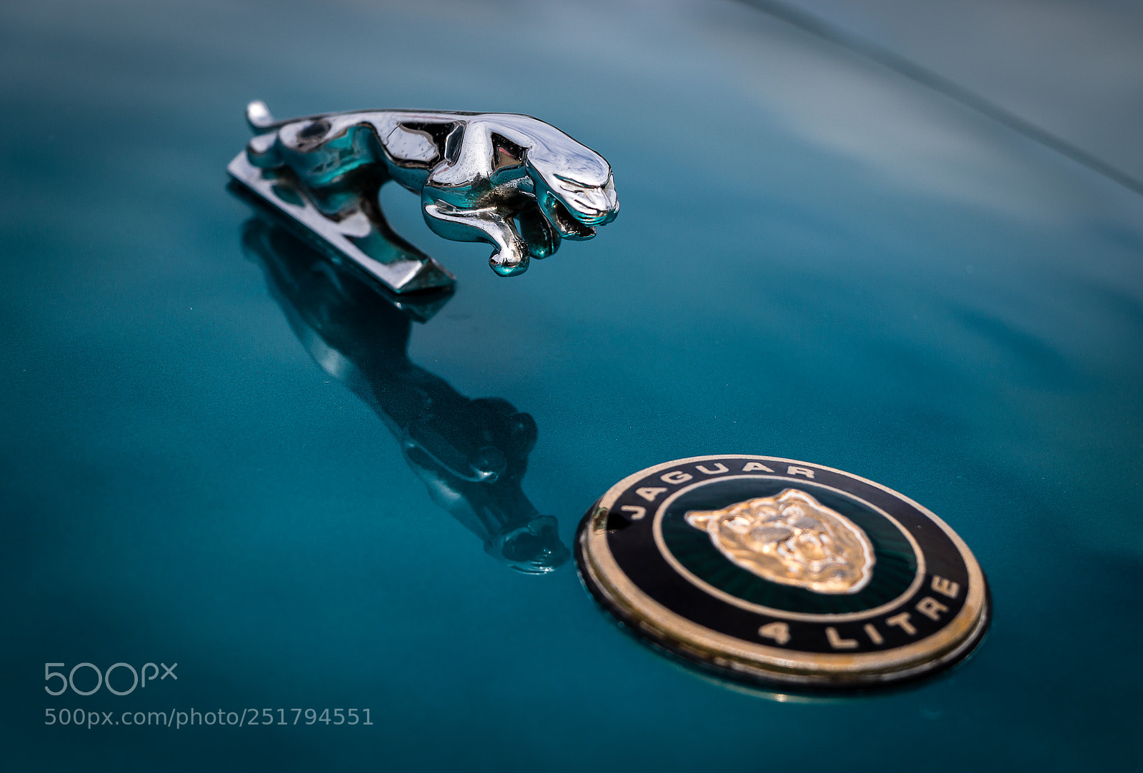 Canon EOS 70D sample photo. Jaguar photography