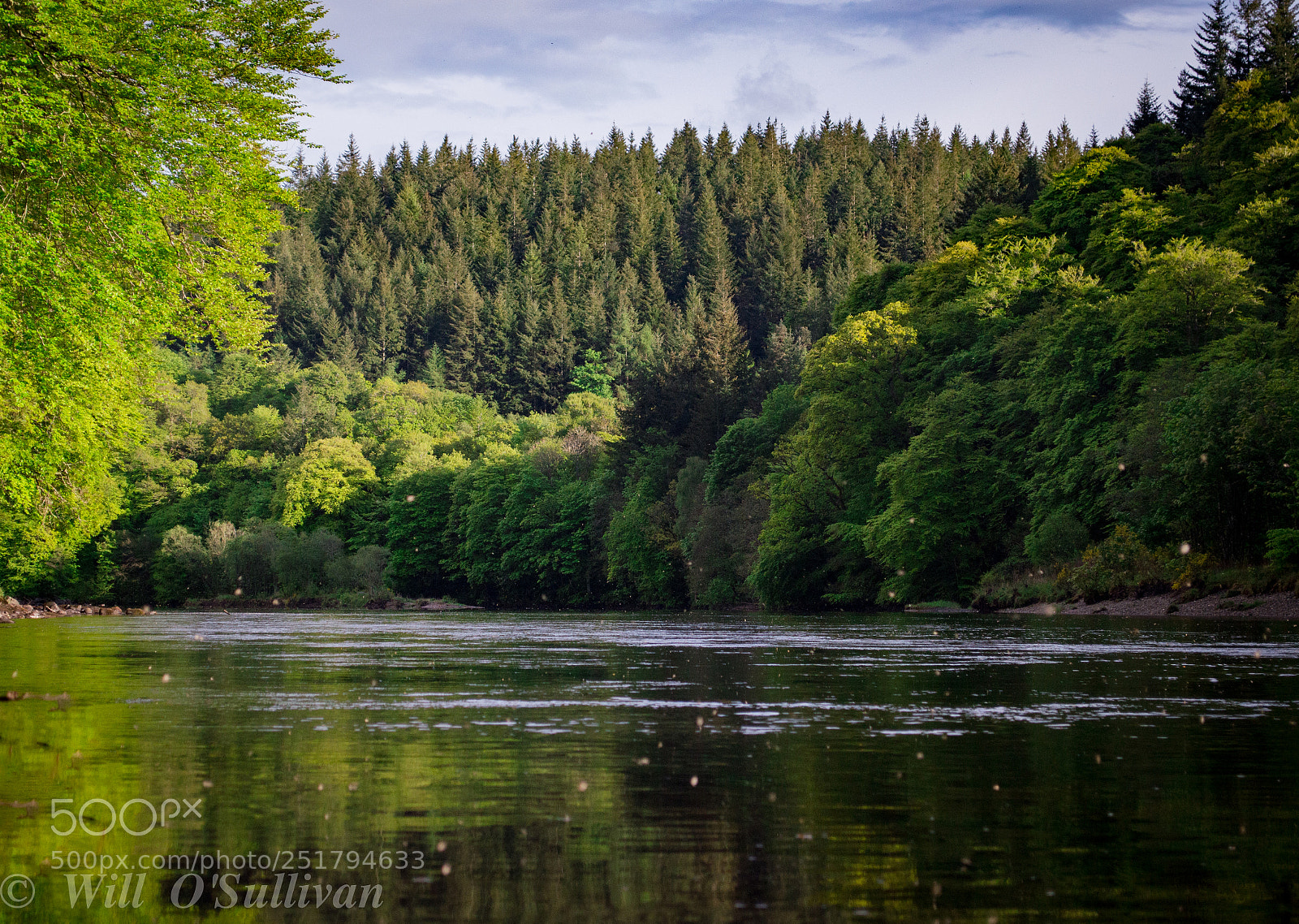 Nikon D3200 sample photo. Dunkeld photography