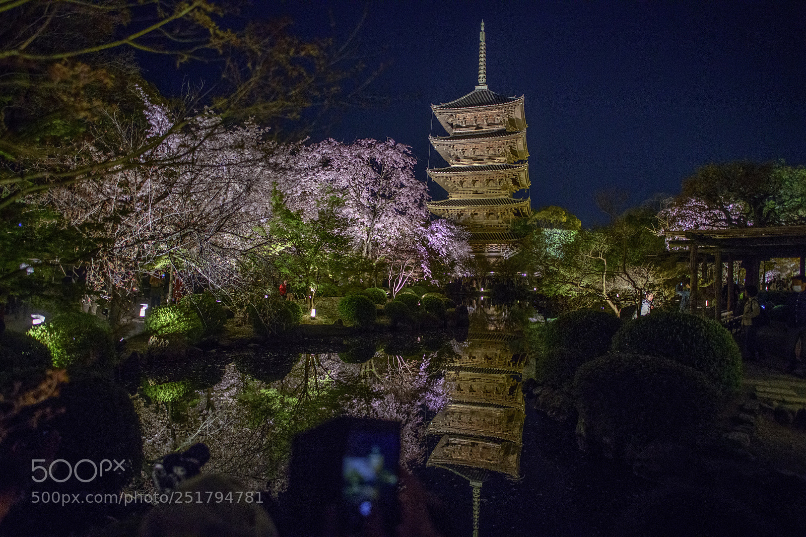 Nikon D850 sample photo. The reflection of t photography