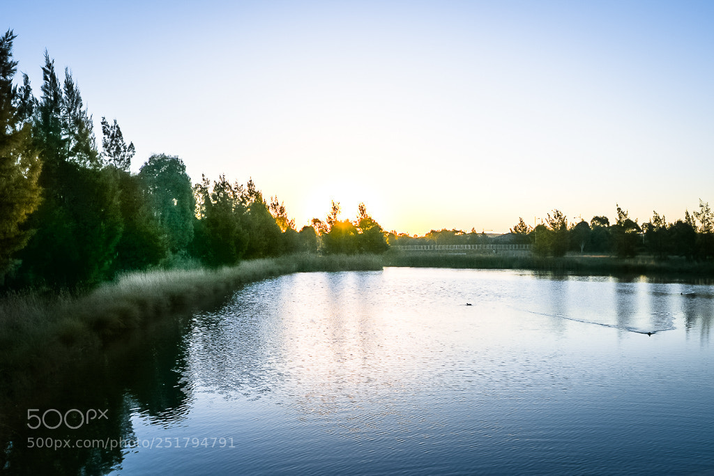 Nikon D500 sample photo. Autumn evening photography