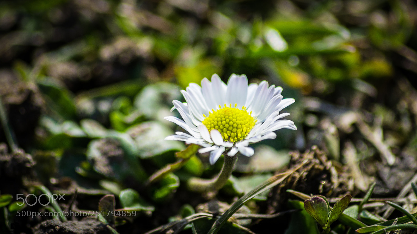 Nikon D3100 sample photo. Untitled photography