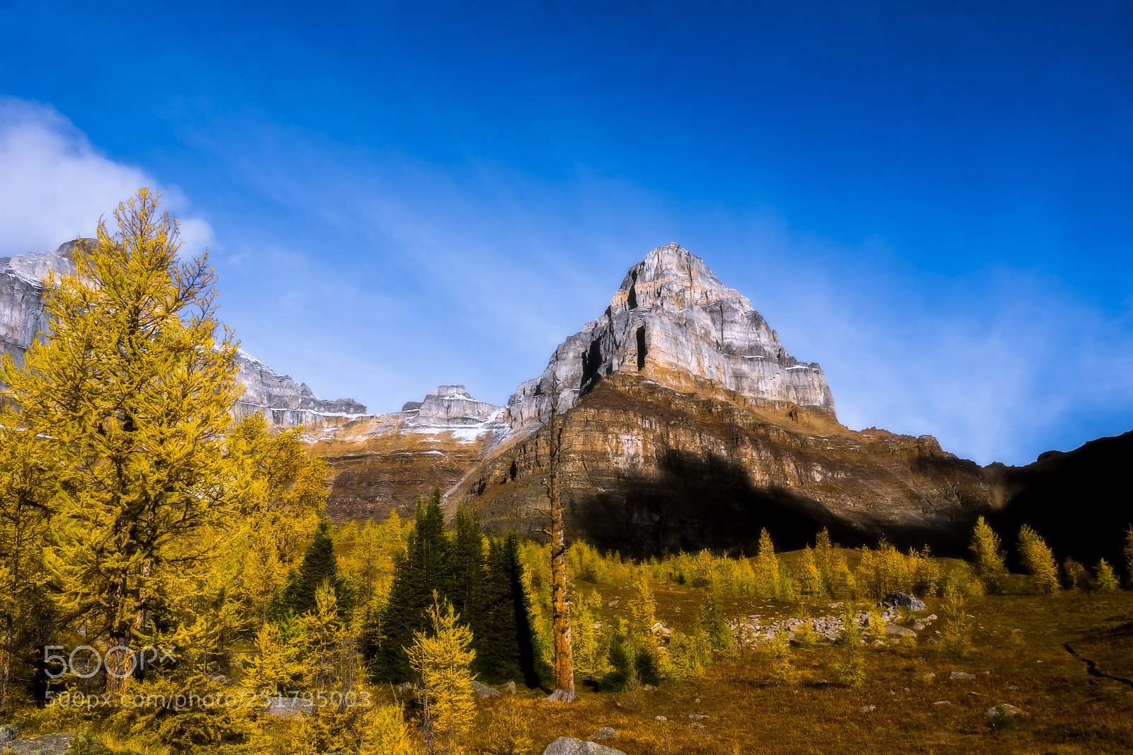 Sony SLT-A77 sample photo. Larch valley wonder photography