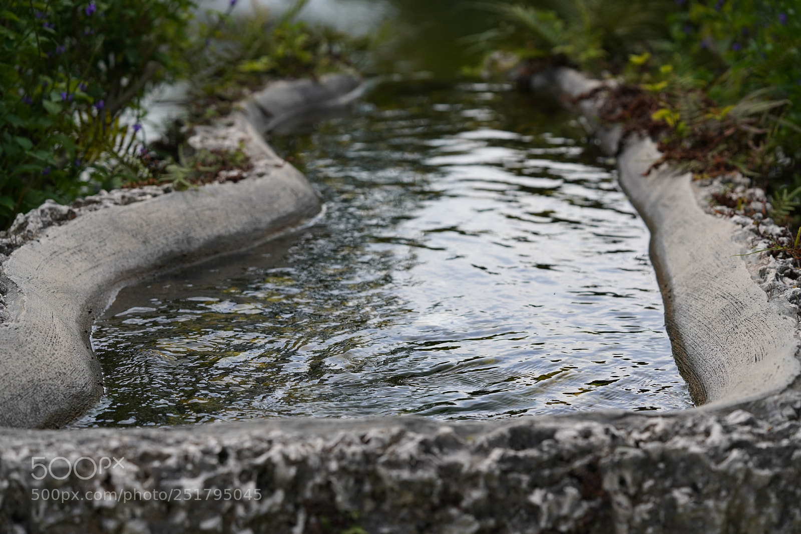 Sony a7R III sample photo. Nature's desires photography