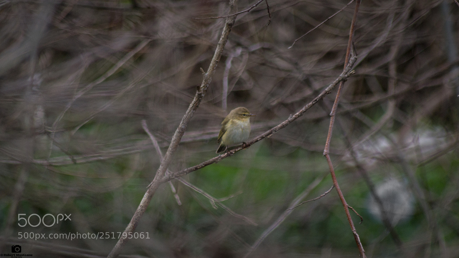Nikon D3100 sample photo. Untitled photography