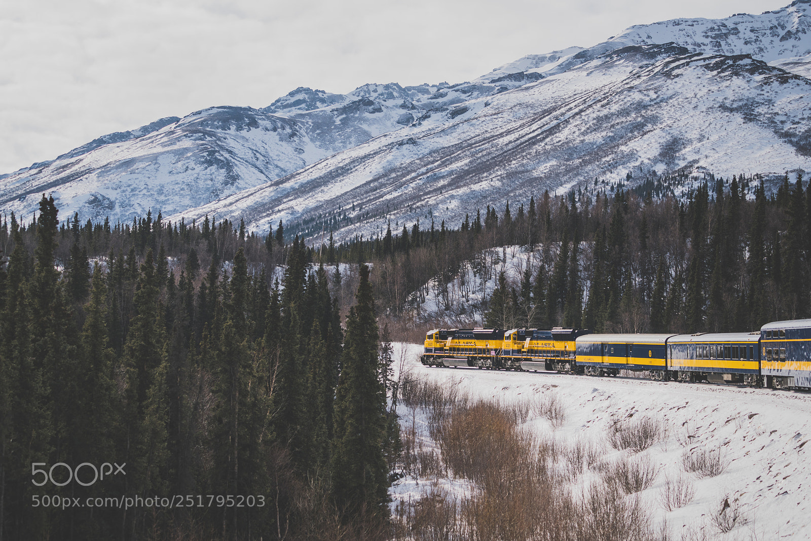 Sony a7R II sample photo. Dsc photography