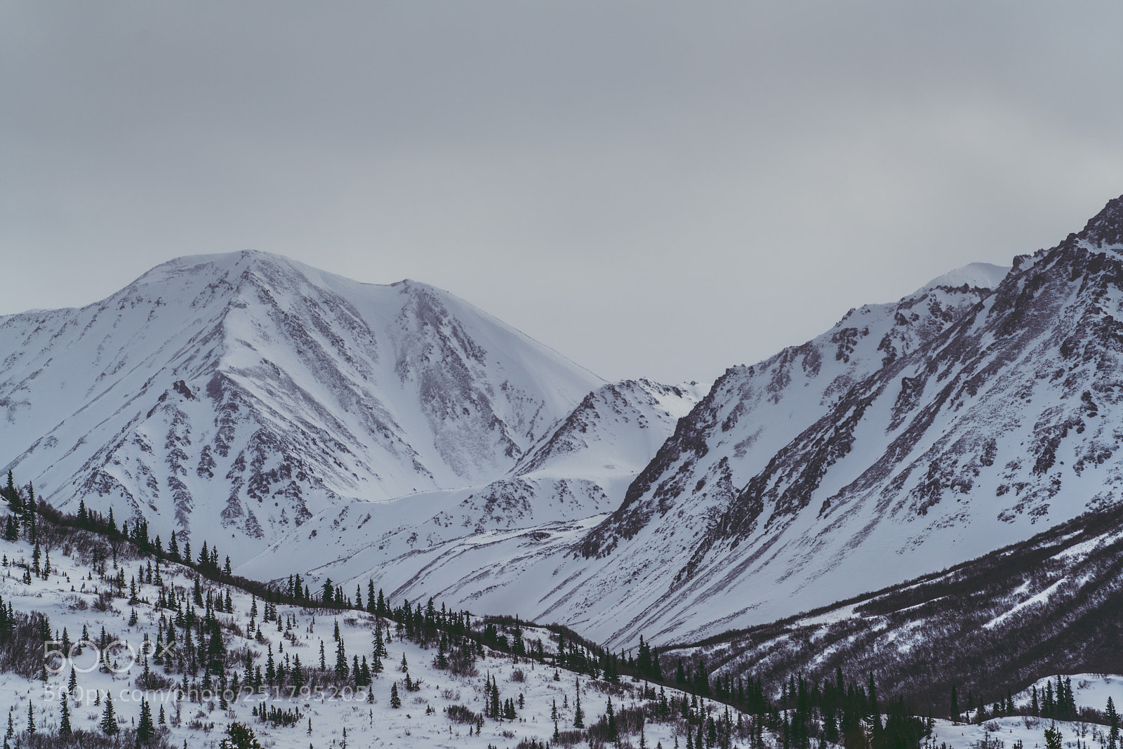 Sony a7R II sample photo. Dsc photography
