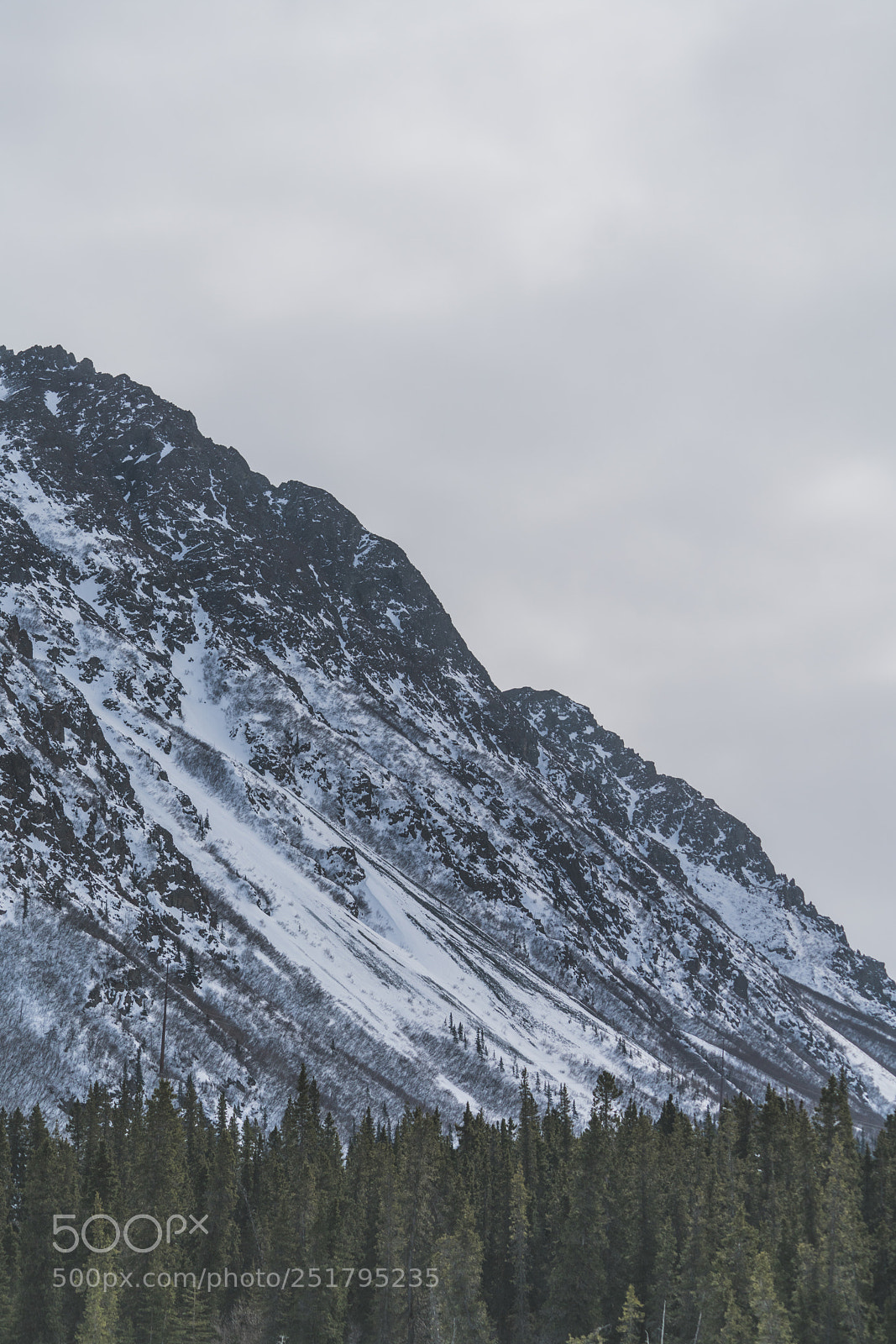 Sony a7R II sample photo. Dsc photography