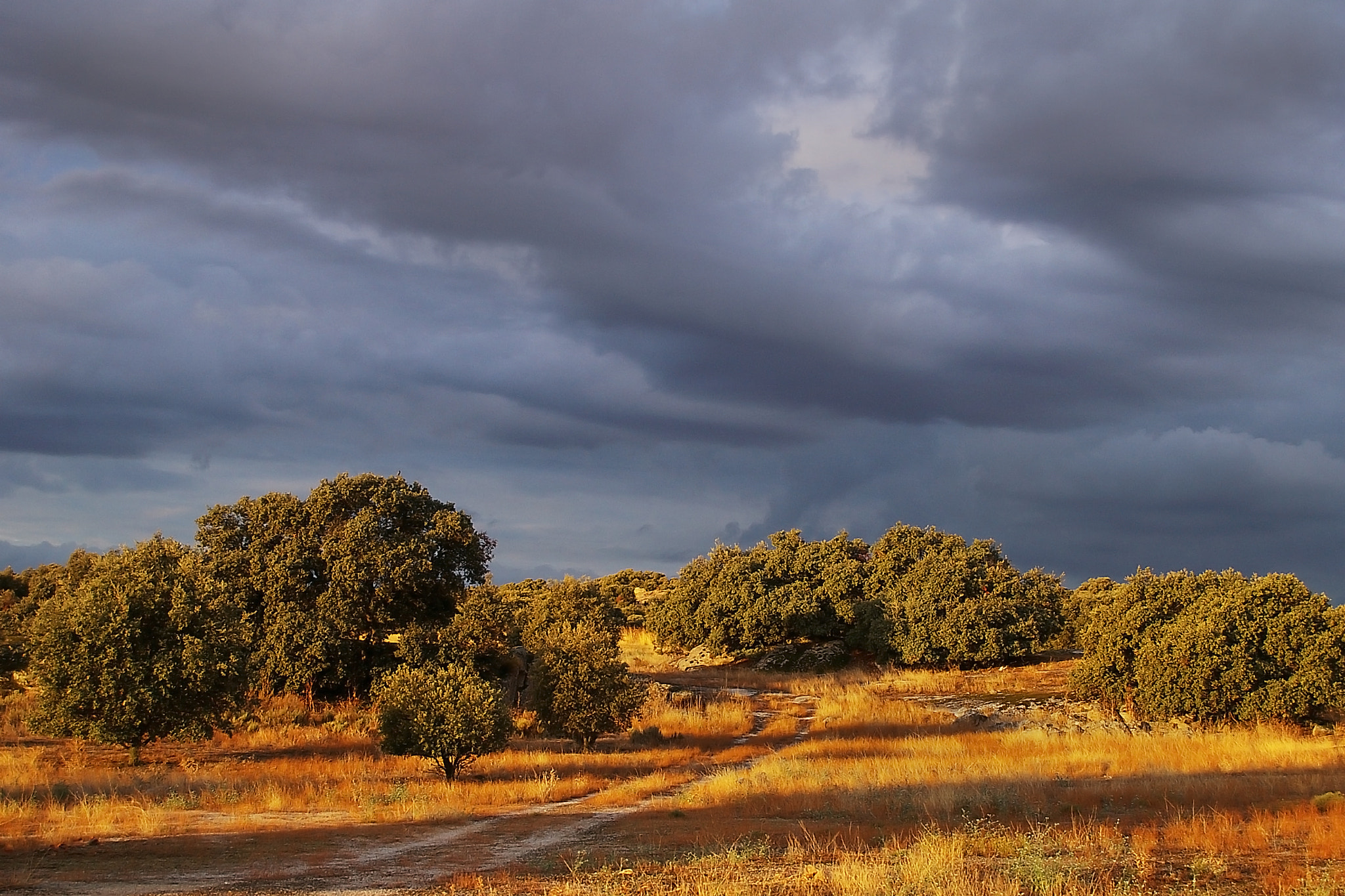 Pentax *ist DL sample photo. Tormenta photography