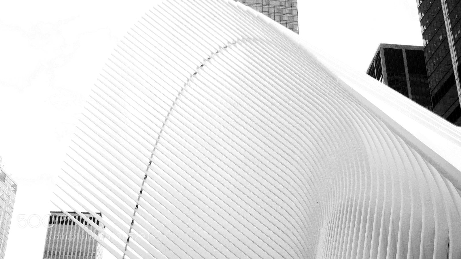 Panasonic Lumix DMC-GH3 sample photo. Oculus photography