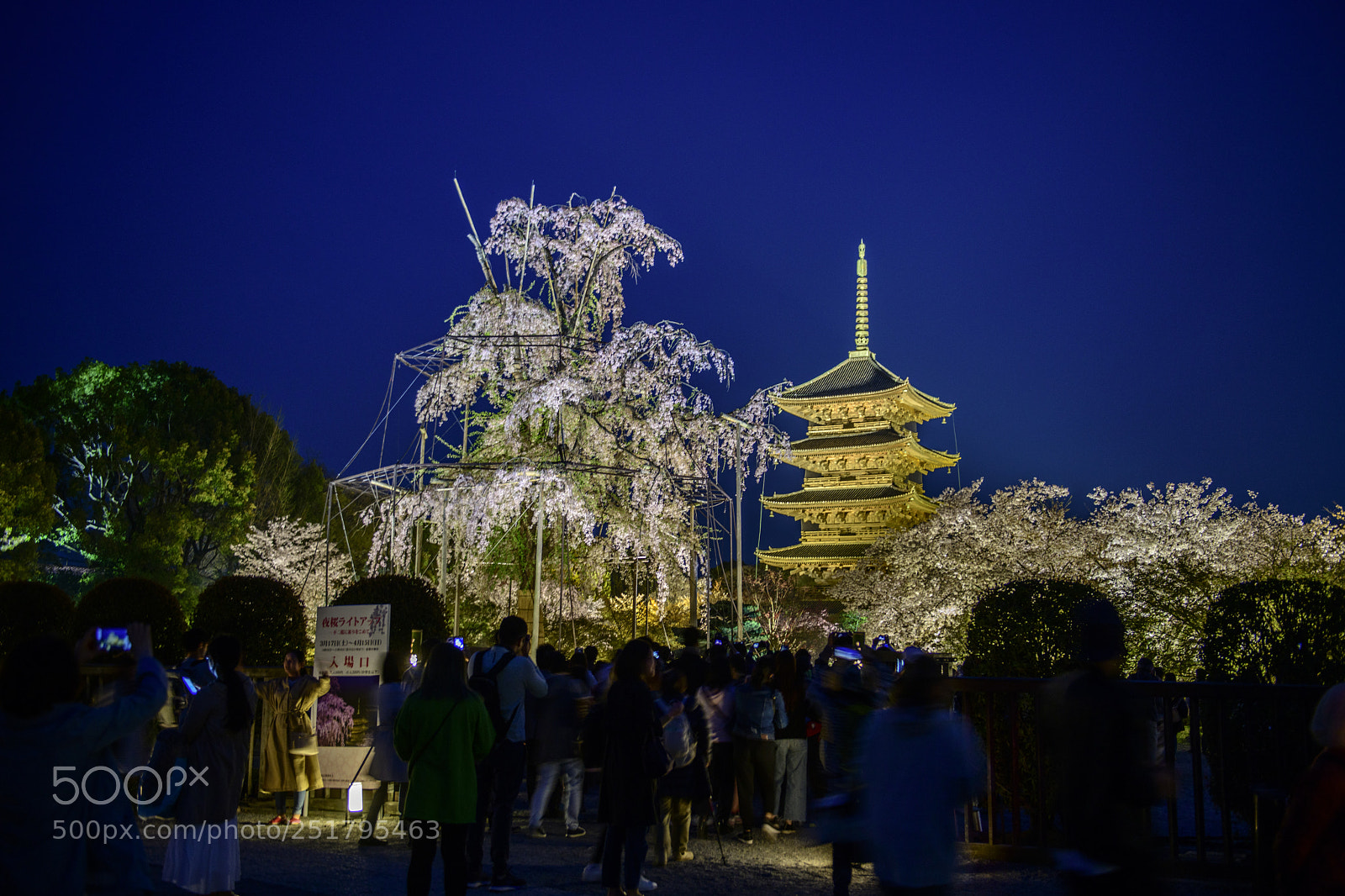 Nikon D850 sample photo. Tō-ji kyoto photography