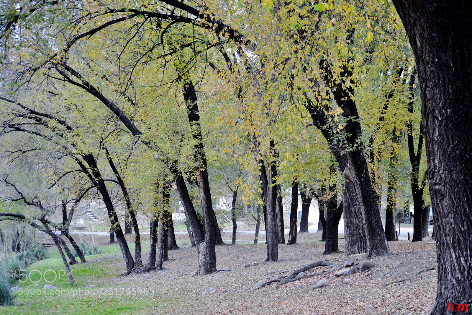 Nikon D3100 sample photo. Do photography