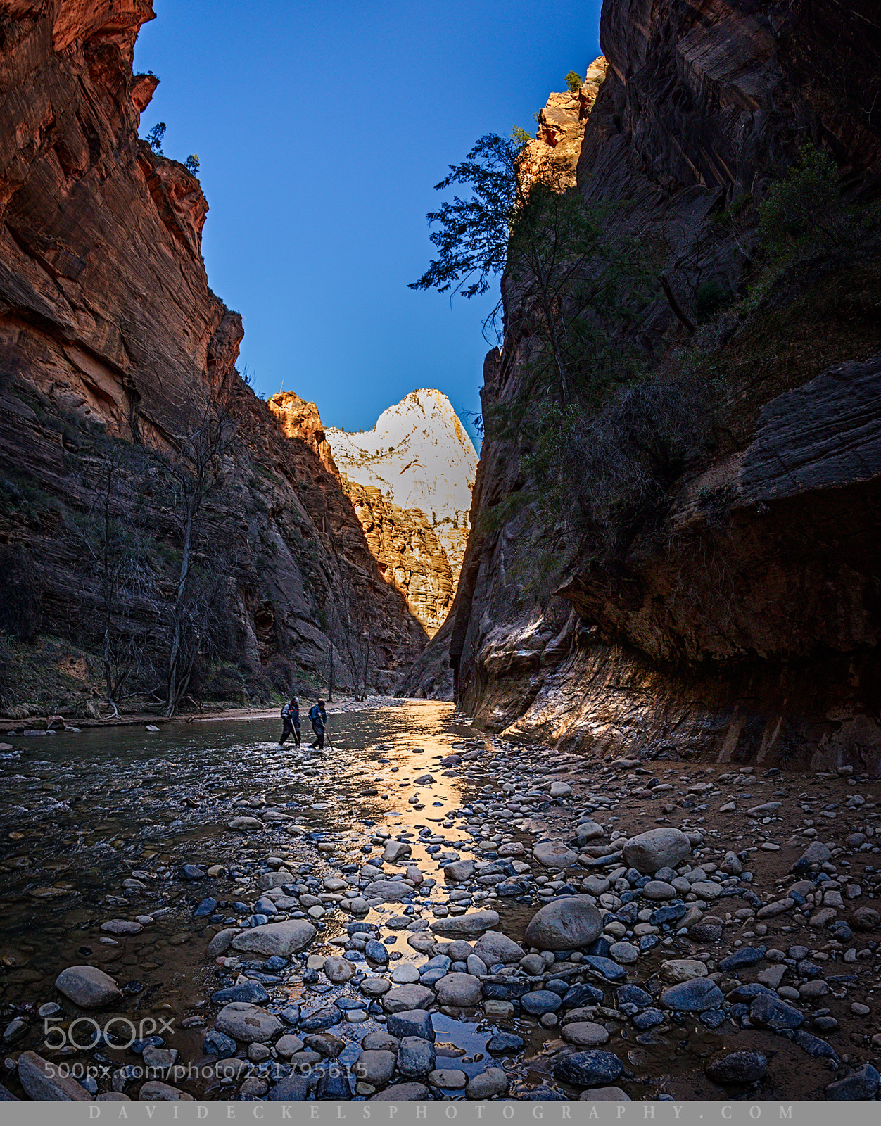 Nikon D800E sample photo. Returning from the narrows photography